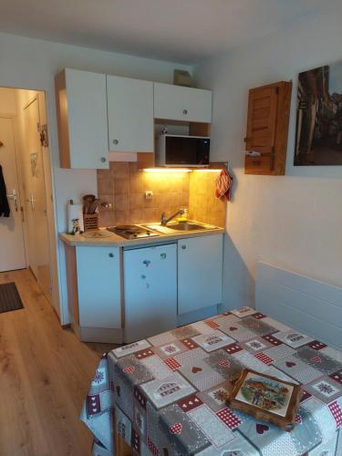 Η κουζίνα ή μικρή κουζίνα στο Studio Bernex Dent d'oche