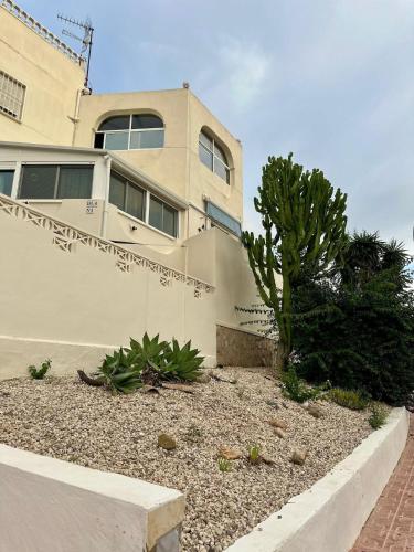 a building with a palm tree in front of it at Peaceful Holiday Home with a Touch of Comfort in San Miguel de Salinas