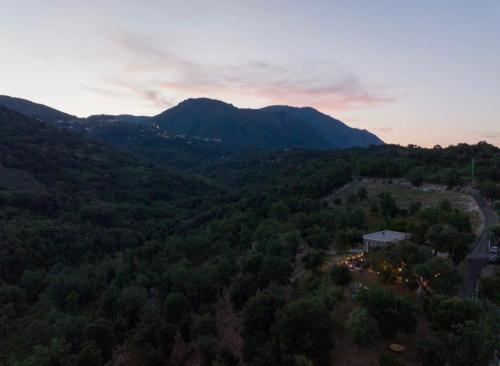 Příroda nedaleko apartmánu