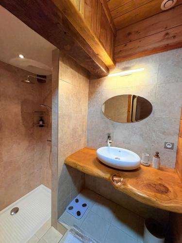 a bathroom with a sink and a shower and a mirror at Le Douillet des Pyrénées, Luxury Chalet Home in Ax-les-Thermes