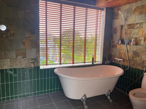 Ấp Thiện SơnTree house的带窗户的浴室里的浴缸