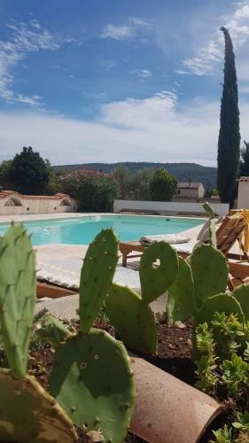 Clos Saint Antoine - Grand T2, terrasse, piscine, terrain de pétanque