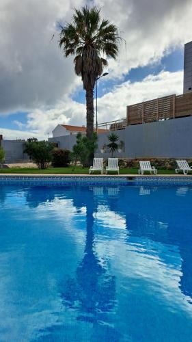 a large swimming pool with two white chairs and a palm tree at Casa Papillon in Sagres