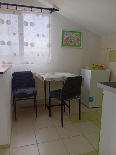 Apartman Kaća 주방 또는 간이 주방