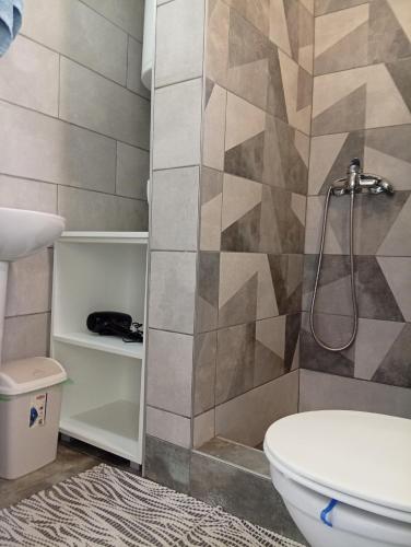 Vrnjačka BanjaにあるApartman Kaćaのシャワーとトイレ付きのバスルーム