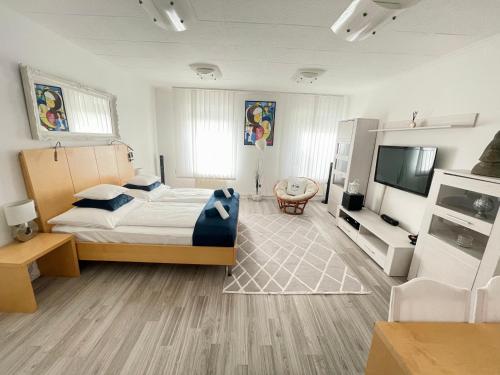 a bedroom with a bed and a television in it at Alpesi Apartman Downtown in Sopron