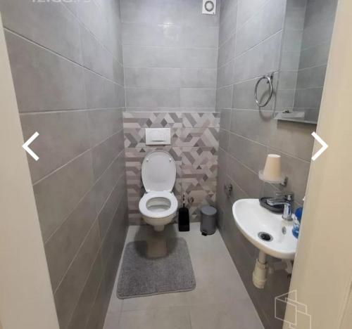 un piccolo bagno con un water e un lavandino di Stan a Zrenjanin