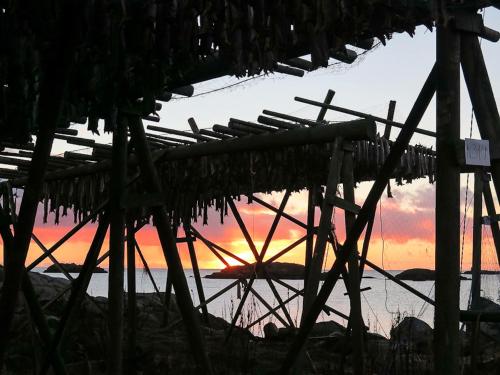 a straw hut with a sunset in the background at Hemmingodden Lodge in Ballstad