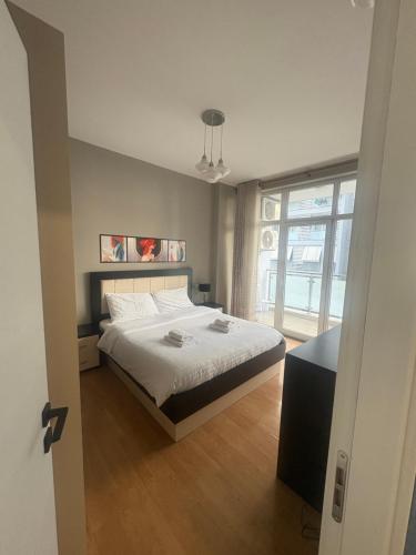 K&M apartment