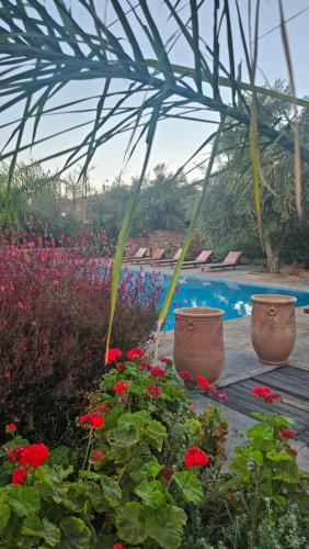 Ecolodge Dar bouhouta