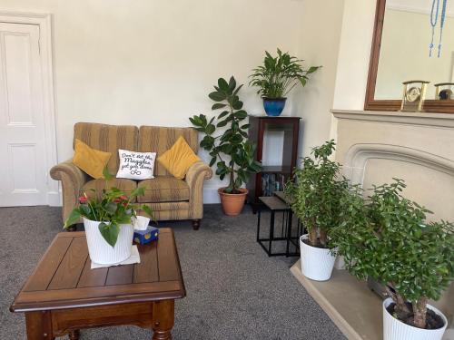 Entire Victorian house Edinburgh 2BR - 4 guests photo 9