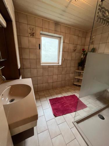 a bathroom with a shower and a sink and a window at Fachwerkzauber Eggenbach in Ebensfeld