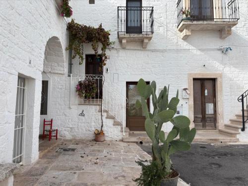 Foto Trullo La Visita Meravigliosa 1