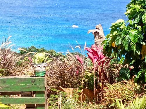 a garden with flowers and the ocean in the background at Flat sol de Noronha in Fernando de Noronha
