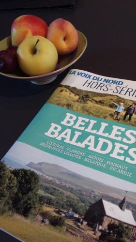 a book next to a plate of apples and a bowl of fruit at Les Hauts de la Cluse in Wimille