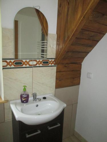 a bathroom with a sink and a mirror at Sosenka in Zalas