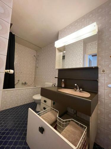 a bathroom with a sink and a toilet at Les Nis in Bourg-Saint-Pierre