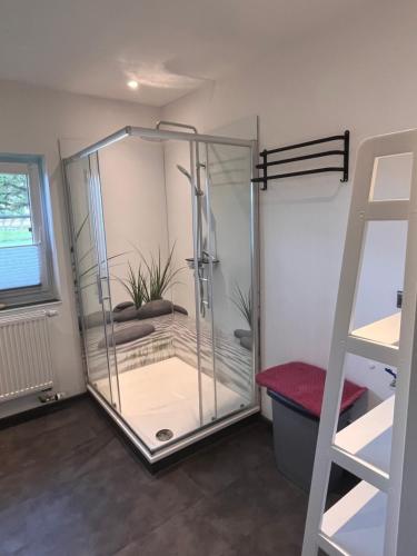 a glass shower in a room with a ladder at Relax und Wellness Landhaus in Mettingen