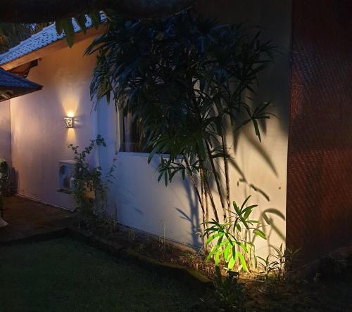 Κήπος έξω από το flousrish garden, cosy Home