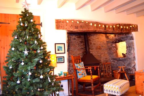 Galeriebild der Unterkunft Stylish home from home with great views in Harlech