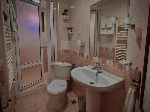 プロブディフにあるFamily Hotel at Renaissance Squareのトイレと洗面台付きのバスルーム