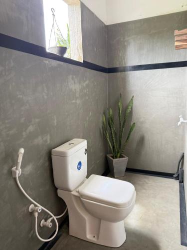 a bathroom with a white toilet and a plant at Olaia Apartments and Cafe in Weligama