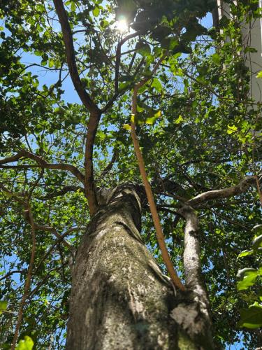 Afbeelding uit fotogalerij van Lanka Villas Holiday Resort in Kandy