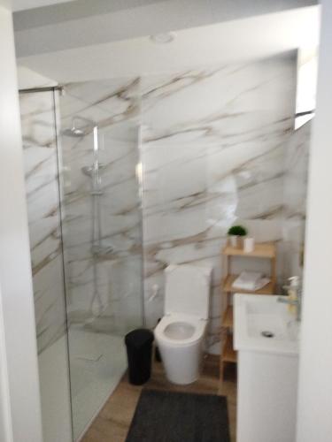 a bathroom with a toilet and a glass shower at Várzeas Nature House in Soengas