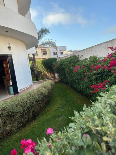 Jardin de l'établissement Villa luxueuse