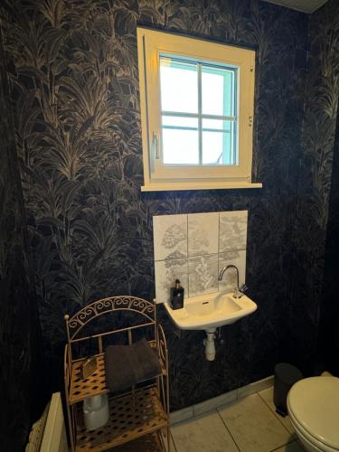 a bathroom with a sink and a window at Gîte Au nid de cigognes in Leutenheim