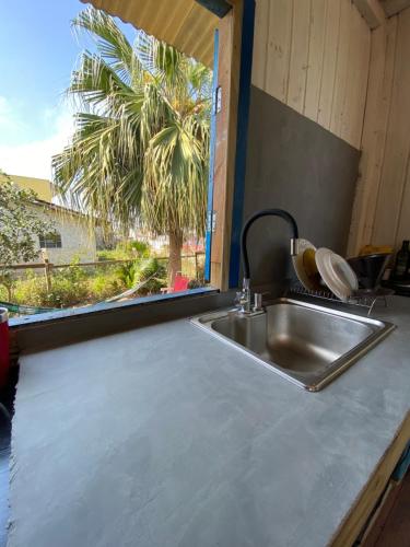 een aanrecht met een spoelbak en een palmboom bij Cabana da palmeira in Piçarras