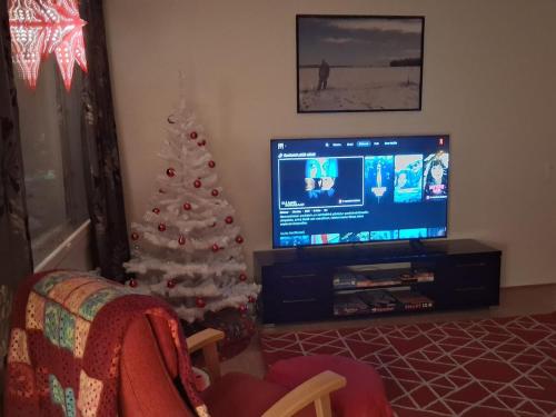 Una sala de estar con un árbol de Navidad y un televisor. en Cozy and family friendly apartment, en Rovaniemi