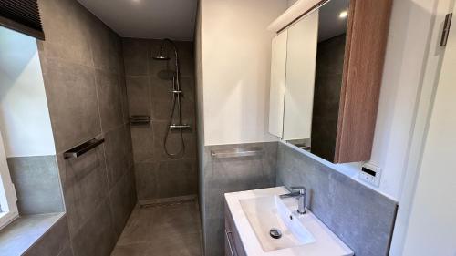 een badkamer met wastafel en douche bij Villa Wewelsburg in Büren