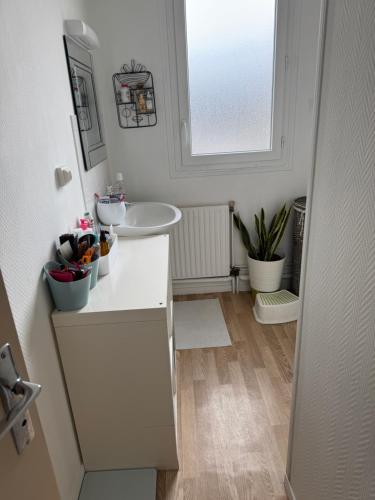 Saint-Denis-en-ValChez Dapia的带水槽和窗户的白色浴室