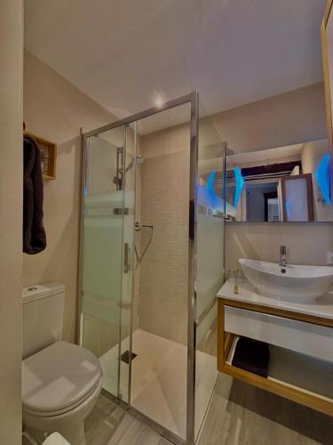a bathroom with a shower and a toilet and a sink at Chambres d'Hôtes Le Mimosa in Saint-Saturnin-de-Lucian