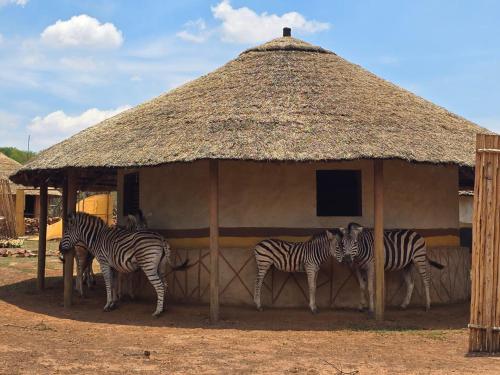 Billede fra billedgalleriet på Glen Afric Country Lodge i Hartbeespoort