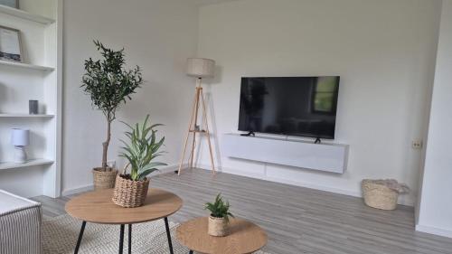 sala de estar con 2 mesas y TV de pantalla plana en Hyggeapartment Gailingen - Dein Rückzugsort am Hochrhein, en Gailingen