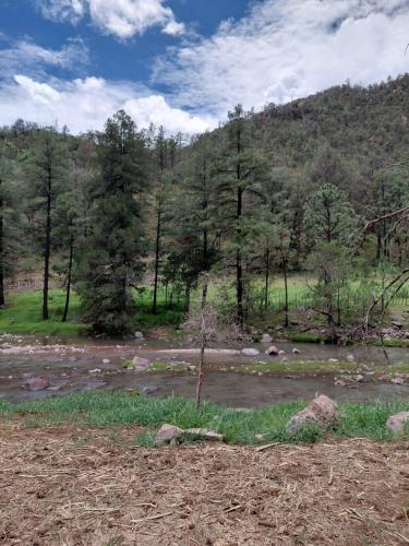 a river in the middle of a field with trees at Tello de luks in Chihuahua