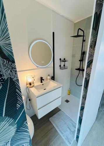 a bathroom with a sink and a mirror at Studio du port avec jardin privé in Saint-André-de-Cubzac