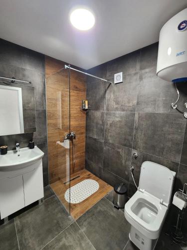 a bathroom with a shower and a toilet and a sink at Alexander The Great ATG in Skopje