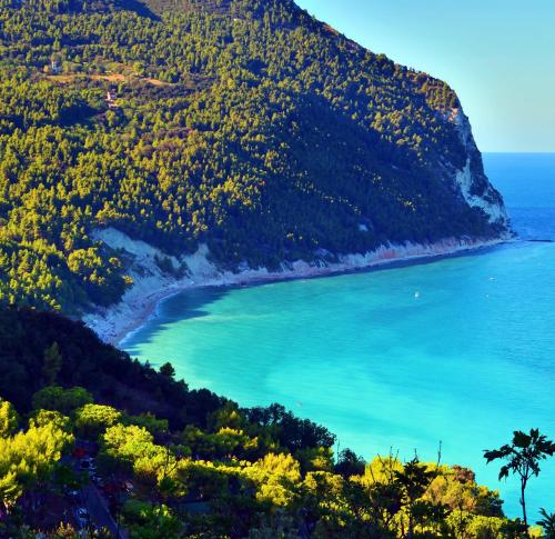 a view of a beach with a palm tree at La Gatta sui Tetti in Osimo