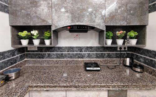 een keuken met een aanrecht met potplanten op planken bij Khurdia Homestay in Udaipur