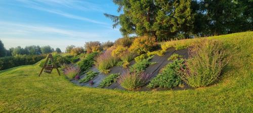 Zahrada ubytování Apartament nad Jeziorem Rybical 1