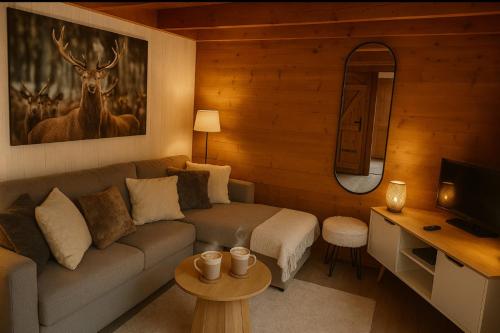 a living room with a couch and a tv at Mazot cozy chalet spirit in Chamonix in Chamonix-Mont-Blanc