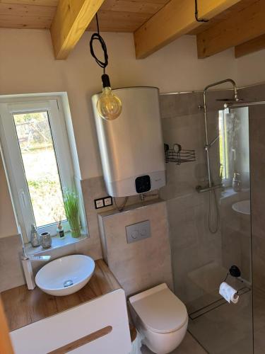 a bathroom with a toilet and a shower and a sink at Domek Mecenasa in Nieledwia