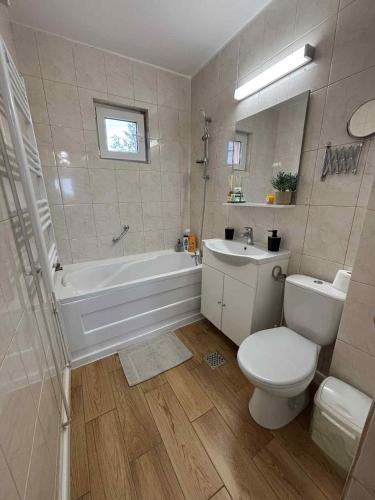a bathroom with a toilet and a tub and a sink at Wine Road Apartment in Gura Vadului