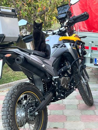 Gallery image of Camping villa lake shkodra in Omarë