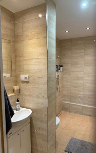 a bathroom with a shower and a sink and a toilet at Apartament Słoneczny in Zamość