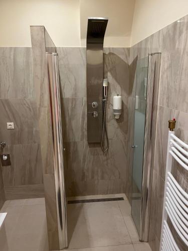 a shower with a glass door in a bathroom at Apartment P&T Top 1 in Altenhof