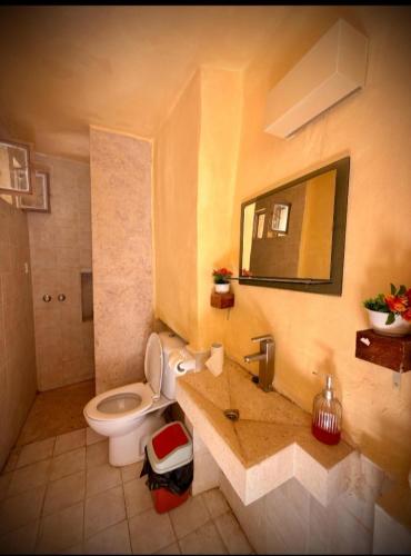 a bathroom with a toilet and a sink with a mirror at Dana Sunset Village Hotel in Dana